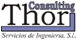 Acerca de thor consulting